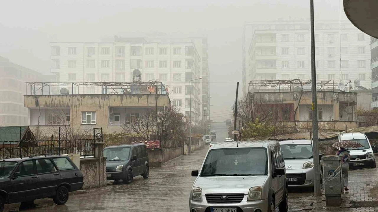 Siirt’te sis ve sağanak yağış etkili oldu
