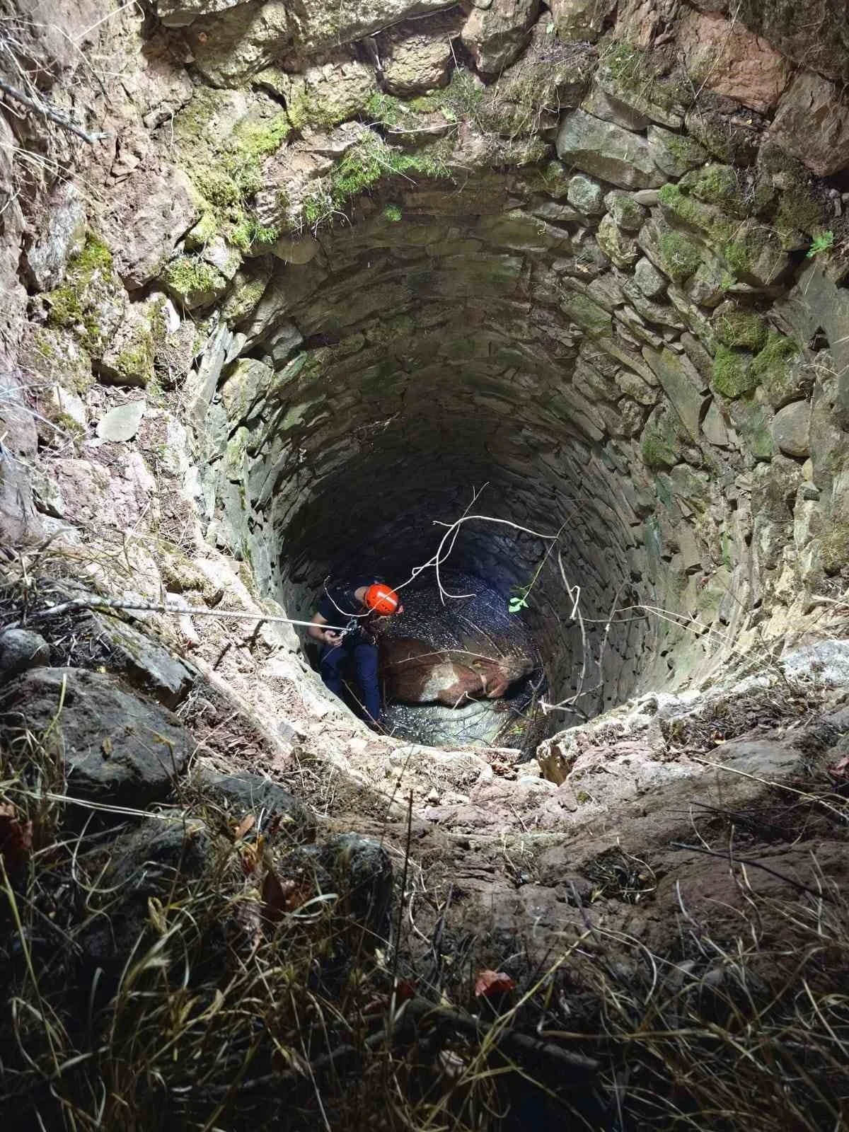 Siirt’te su kuyusuna düşen ineği ekipler kurtardı
