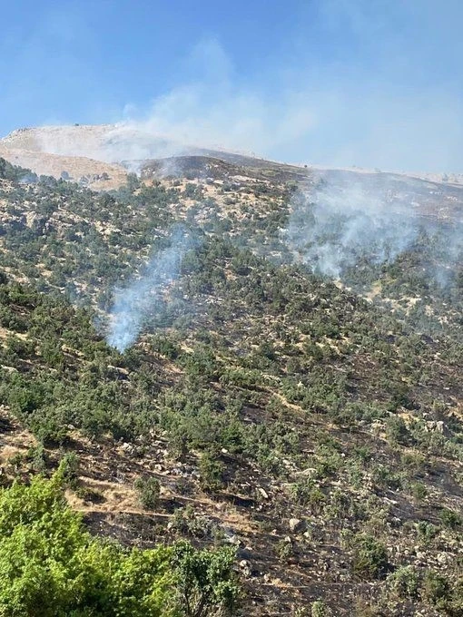 Siirt’teki orman yangını kontrol altına alındı