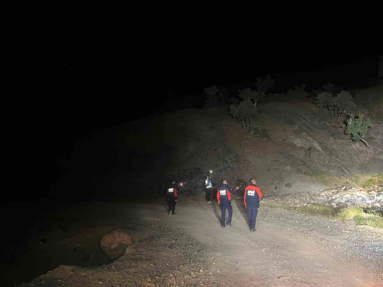 Siirt&rsquo;yte kaybolan &ccedil;oban i&ccedil;in arama &ccedil;alışmaları başlatıldı
