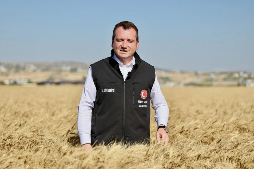 Silivri Belediyesi, buğday hasadını tamamladı
