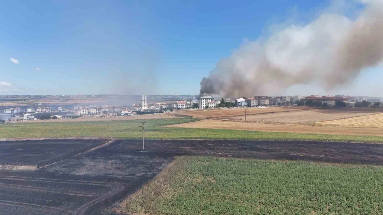 Silivri&rsquo;de r&uuml;zgarla b&uuml;y&uuml;yen yangında alevleri kontrol altına alma &ccedil;alışmaları devam ediyor
