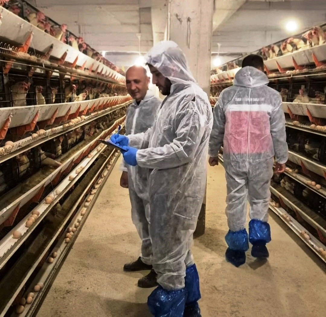 Simav&rsquo;da ticari yumurtacı tavuk&ccedil;uluk işletmesinde ilk resmi denetim
