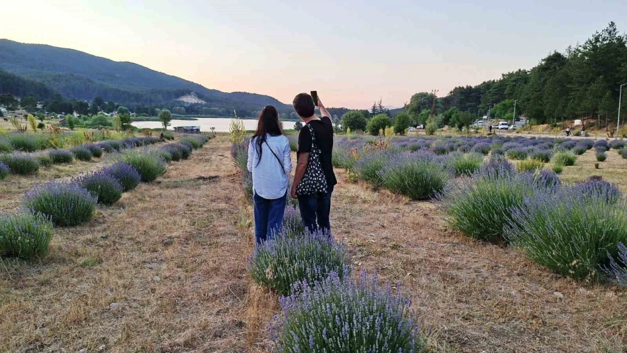 Simav Gölcük Yaylasındaki lavanta bahçesi doğal stüdyo alanı haline geldi
