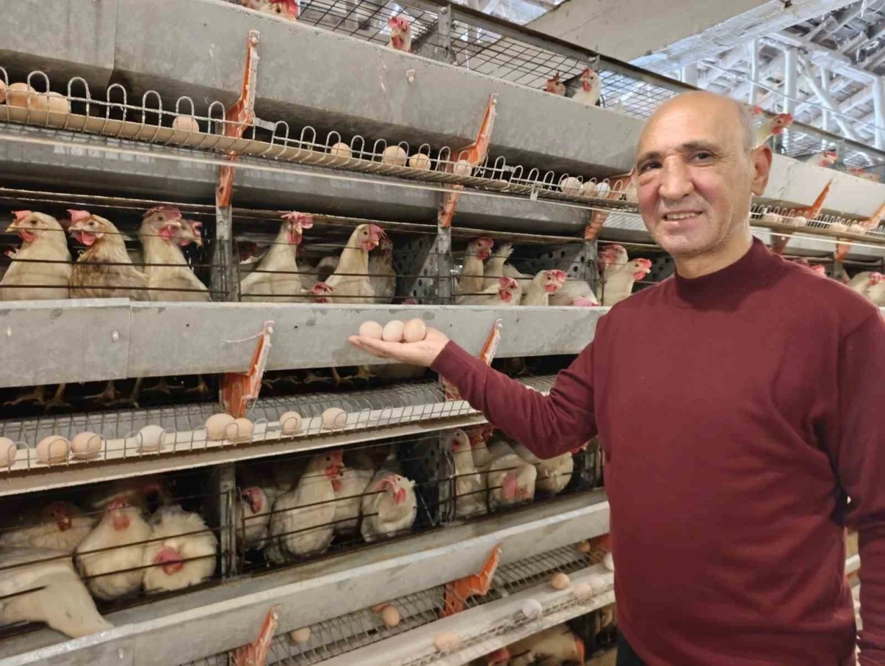 Simav’ın Kuşu beldesinde günlük 15 bin yumurta üretimi
