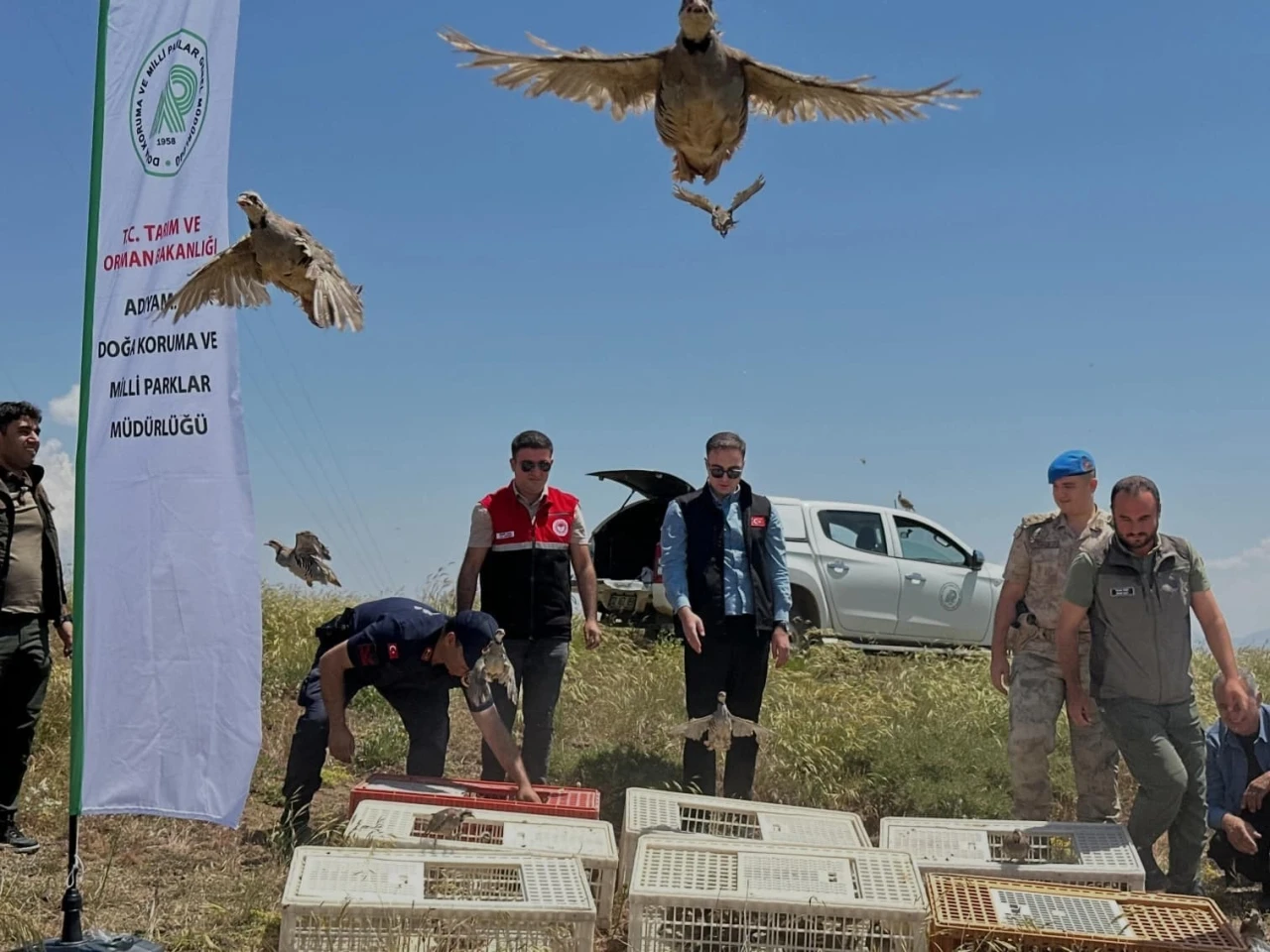 Sincik&rsquo;te 200 keklik doğaya salındı
