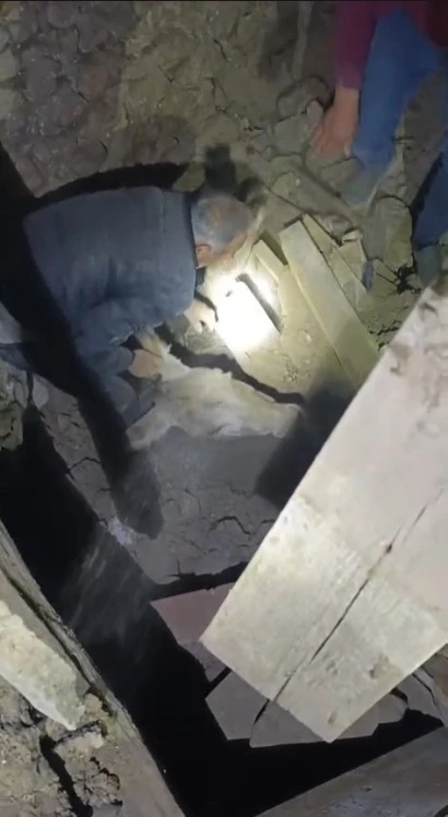 Sındırgı’da enkaz altında kalan eşek canlı kurtarıldı