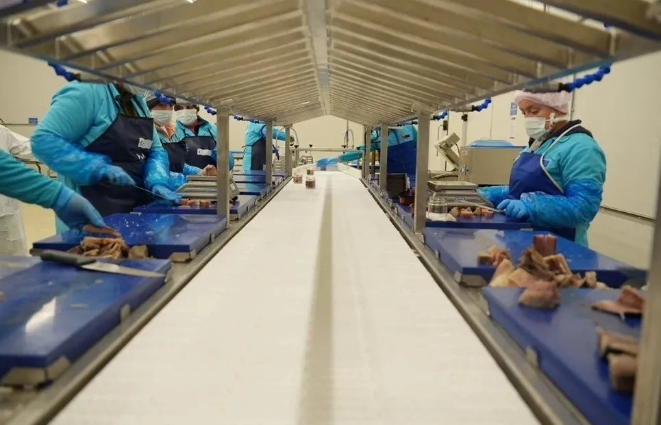 Sinop 2025&rsquo;te ihracatta vites y&uuml;kseltti
