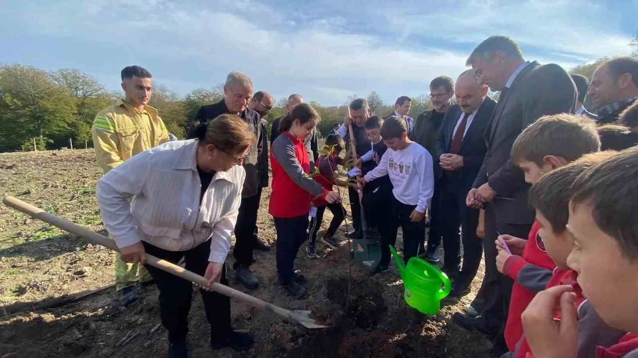 Sinop’ta 3 bin 860 fidan toprakla buluştu
