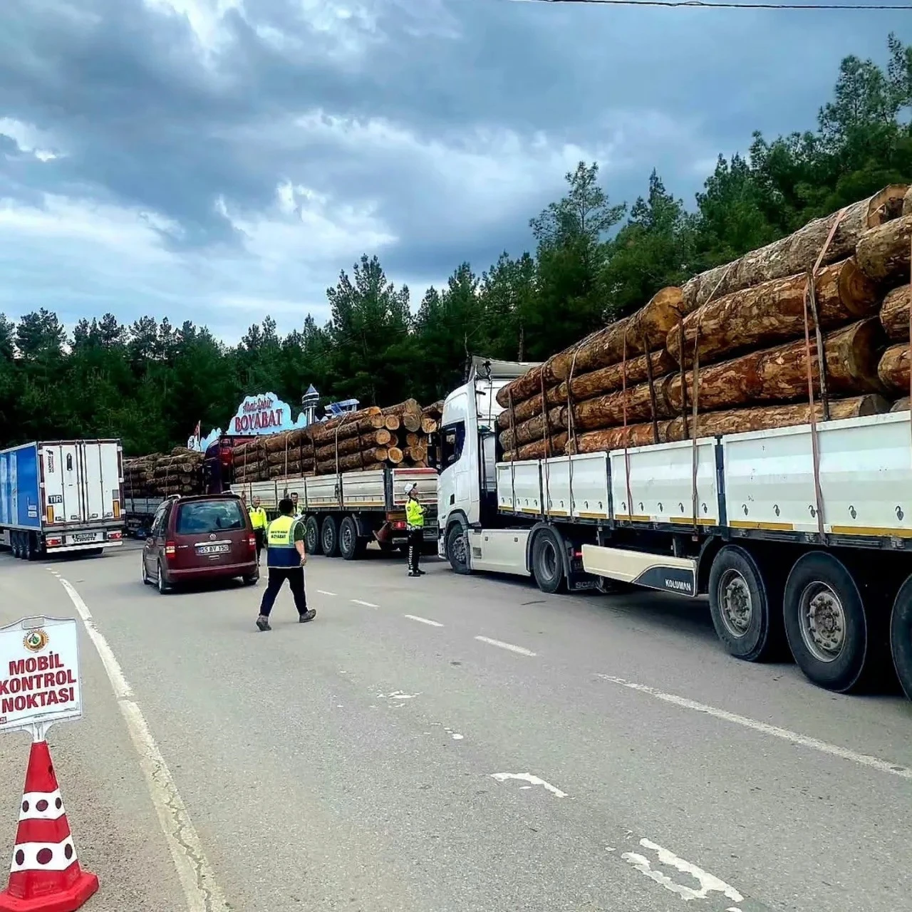 Sinop&rsquo;ta orman emvali nakilleri denetimi
