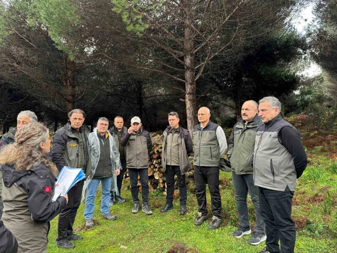 Sinop&rsquo;ta ormancılık faaliyetleri
