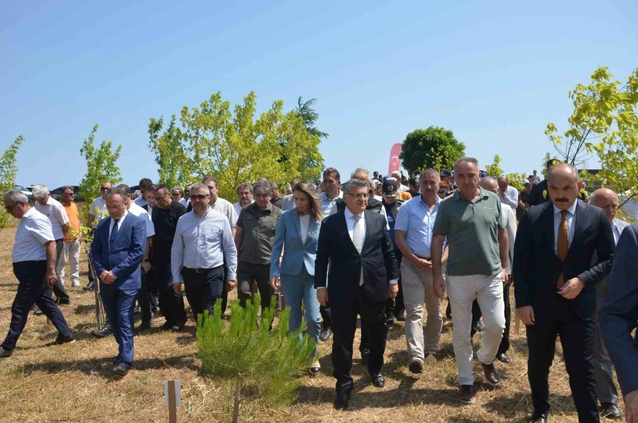Sinop’ta Şehit Ömer Can Açıkgöz’ün adı hatıra ormanında yaşatılıyor
