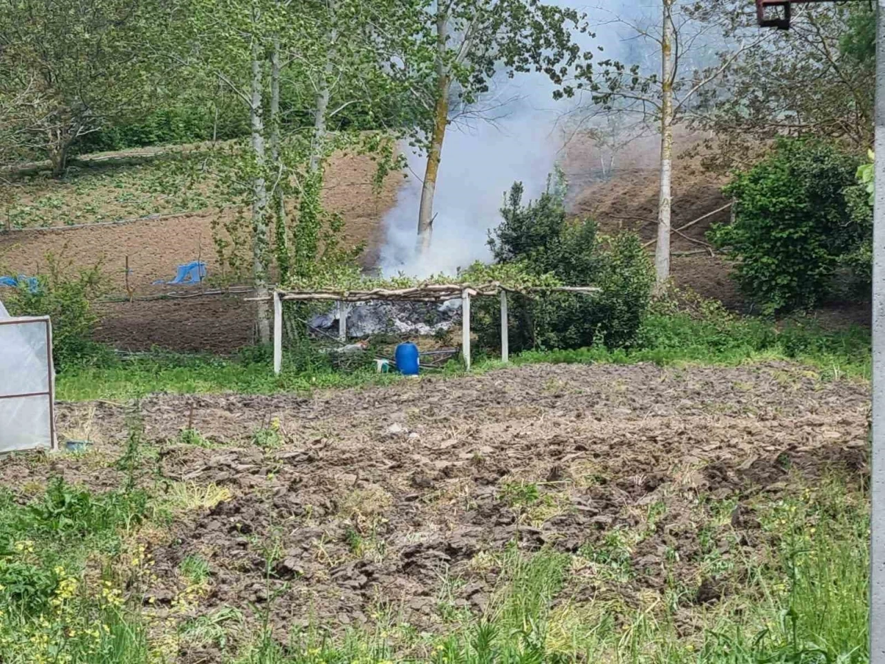 Sinop’ta tarlada yangın paniği
