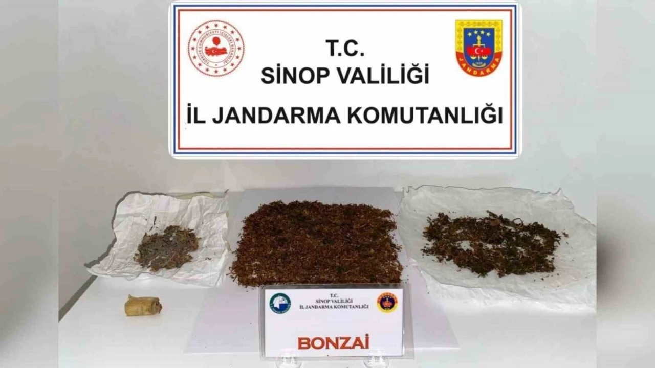 Sinop’ta zehir operasyonu
