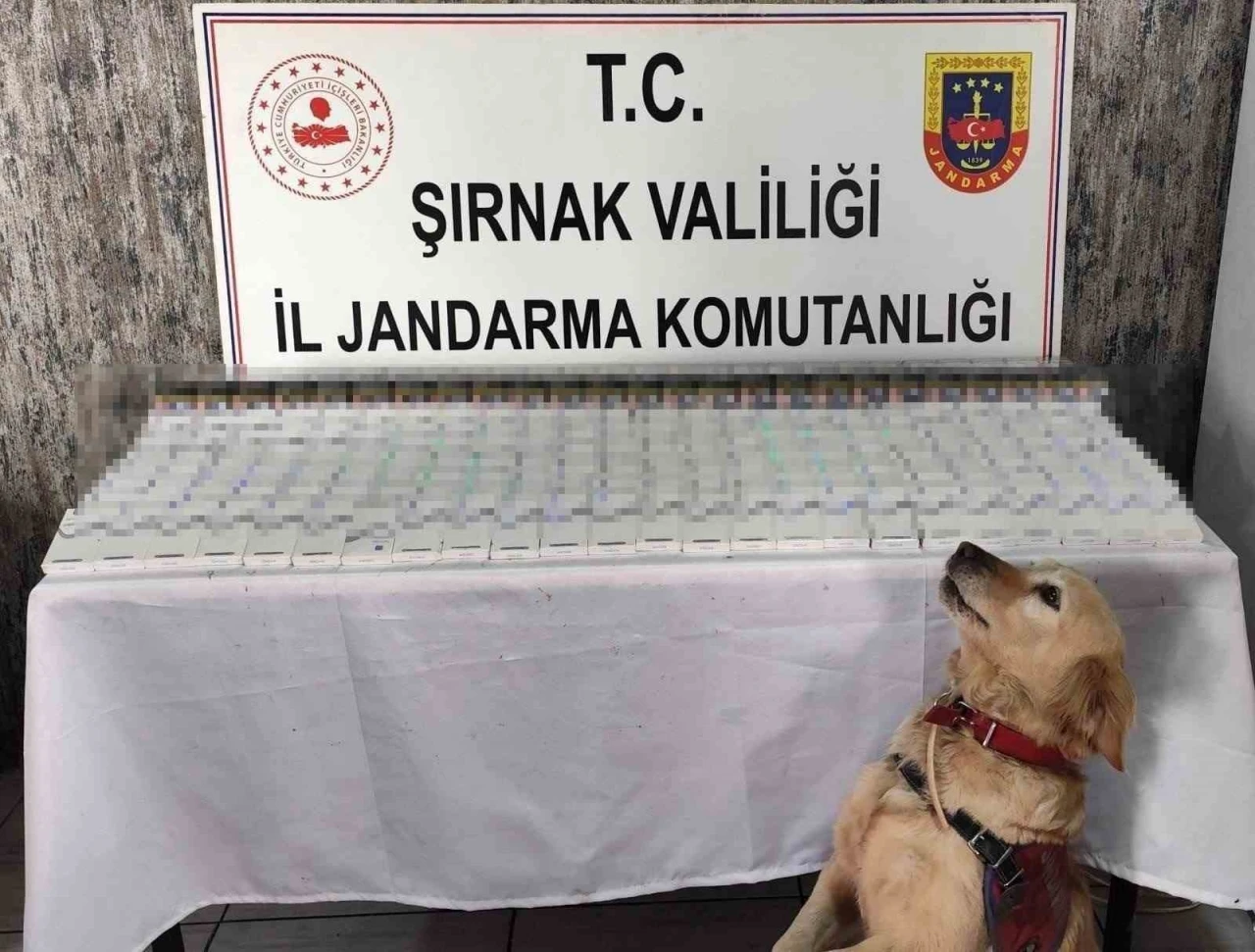 Şırnak’ta 281 bin 500 TL değerinde kaçak malzeme ele geçirildi
