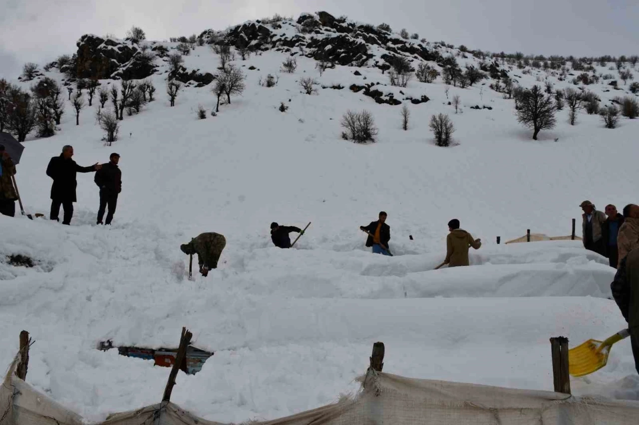 Şırnak&rsquo;ta bal arıları &ccedil;ığ altında kaldı

