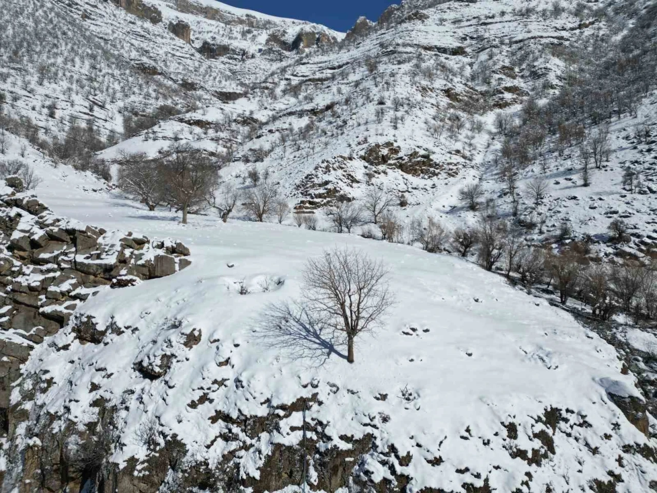 Şırnak’ta dağlar karla kaplı