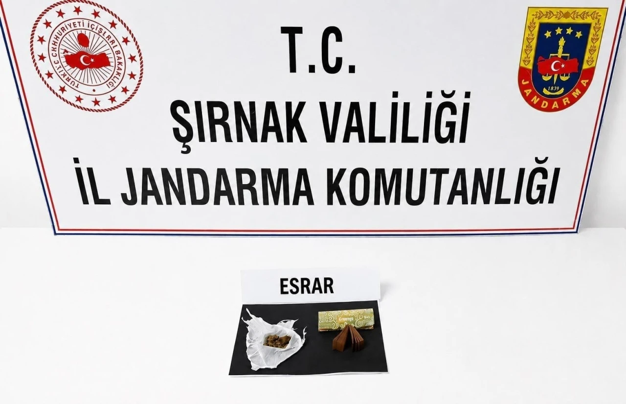 Şırnak&rsquo;ta jandarma son 1 haftada 104 ş&uuml;pheli hakkında işlem yaptı
