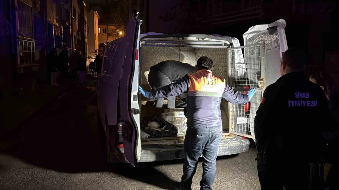 Sivas&rsquo;ta 2 katlı evde &ccedil;ıkan yangında 26 kedi telef oldu
