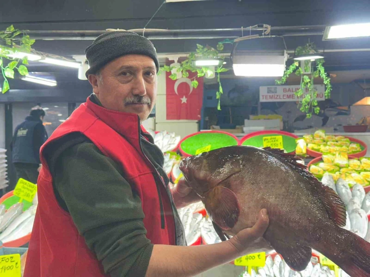 Sivas&rsquo;ta 7.5 kiloluk orfoz balığı tezgahın ağası oldu
