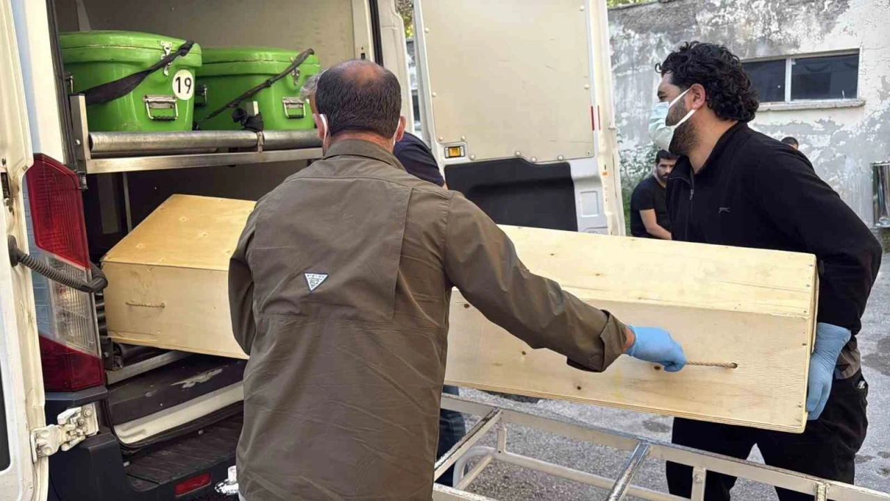 Sivas&rsquo;ta Kırım Kongo Kanamalı Ateşi&rsquo;nden &ouml;lenlerin sayısı 11&rsquo;e y&uuml;kseldi
