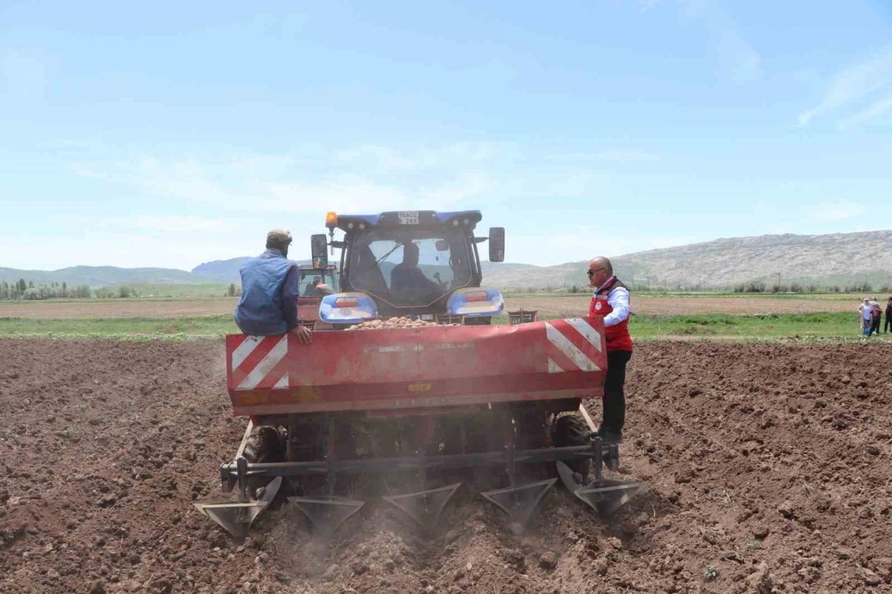 Sivas’ta tohumluk patatesler toprakla buluştu
