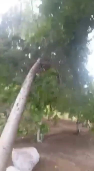 Siverek’te fırtına hayatı olumsuz etkiledi
