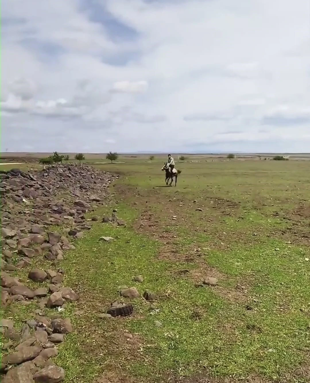 Siverek’te ilginç anlar kameraya yansıdı
