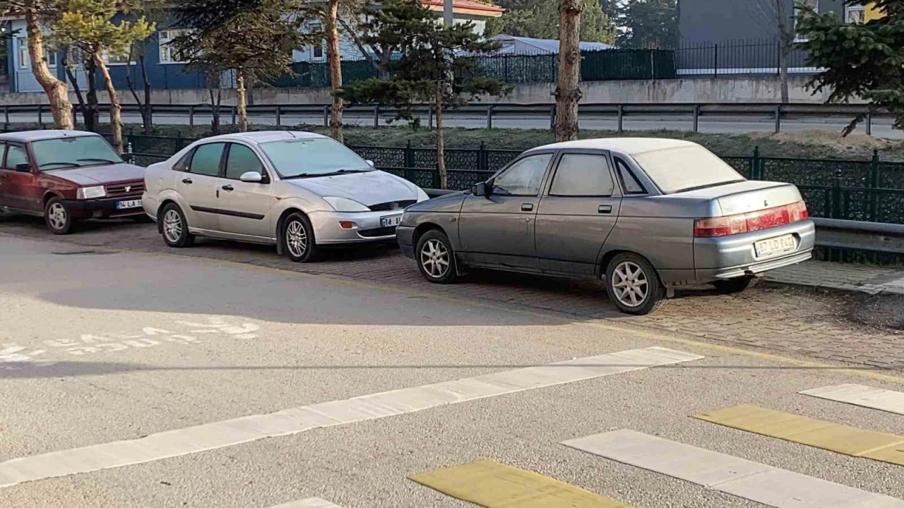 Soğuk hava sebebiyle &ccedil;imler ve otomobil camları buz tuttu
