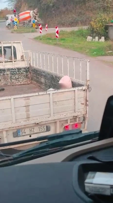 Soğuk havada yürek sızlatan yolculuk
