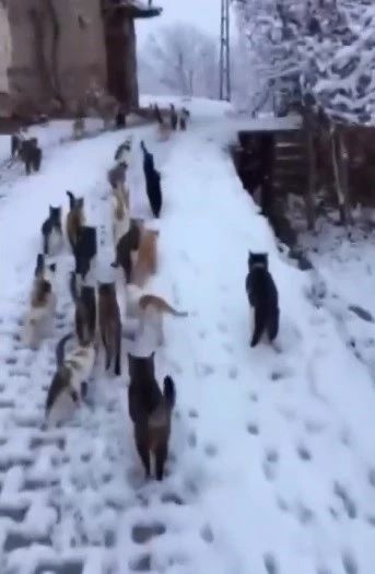 Soğuk kış g&uuml;nlerinde y&uuml;rek ısıtan g&ouml;r&uuml;nt&uuml;ler Erzincan&rsquo;dan
