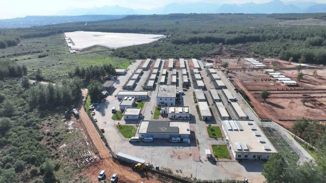 Sokak Hayvanları Ge&ccedil;ici Bakımevi can dostlara yeni yuva yolu oluyor
