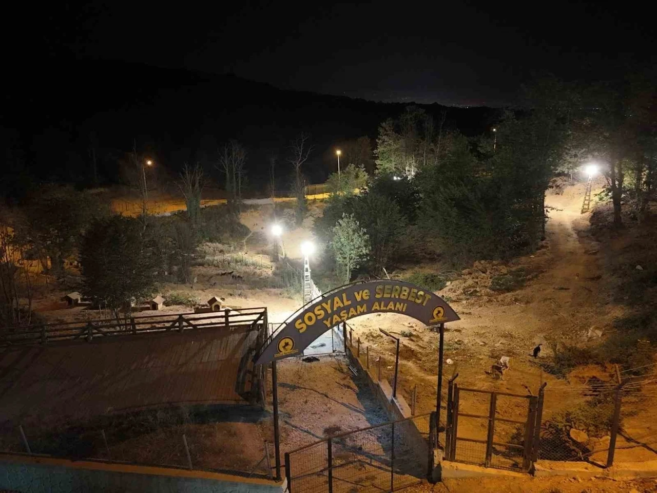 Sokak hayvanları için 80 bin metrekare rehabilitasyon merkezi
