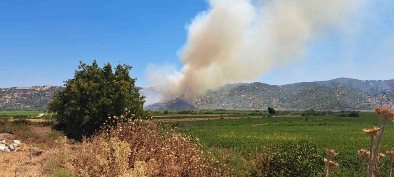 S&ouml;ke&rsquo;de zirai alanda yangın
