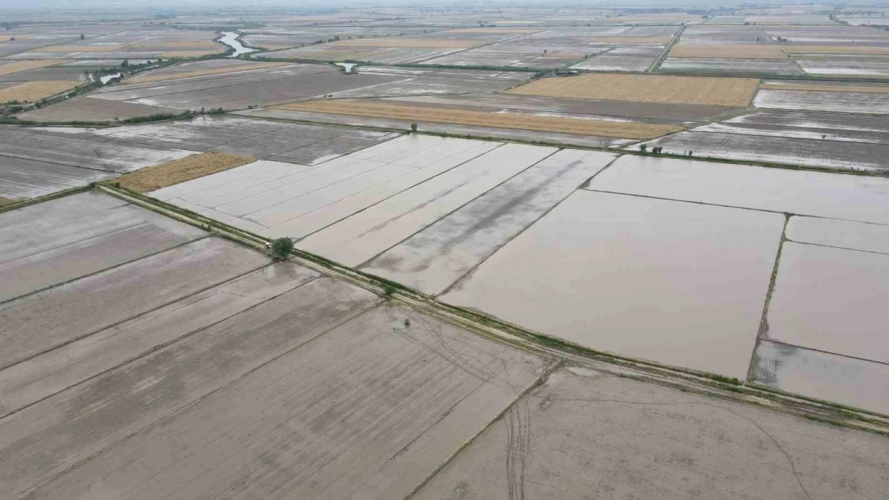 S&ouml;ke&rsquo;nin 2026 yılı &uuml;r&uuml;n deseni belli oldu
