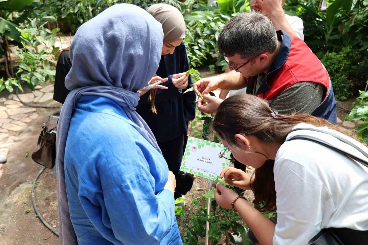 Stajyer öğrenciler Afyonkarahisar Tıbbi ve Aromatik Bitkiler Merkezi’ni gezdi
