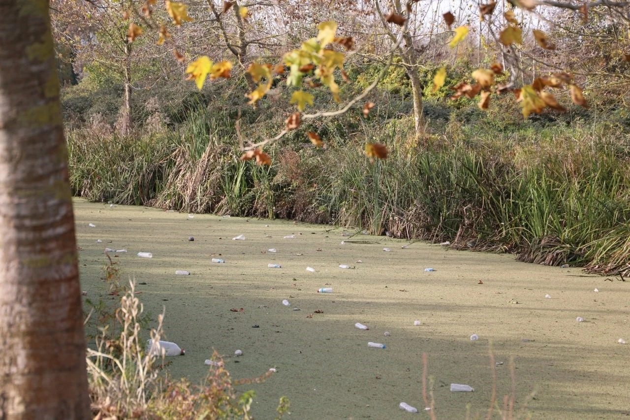 Su kanalı adeta çöplüğe döndü: Vatandaş Karasu Belediyesi’ni göreve çağırdı
