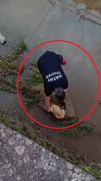 Su kanalında mahsur kalan kedinin yardımına itfaiye ekipleri koştu
