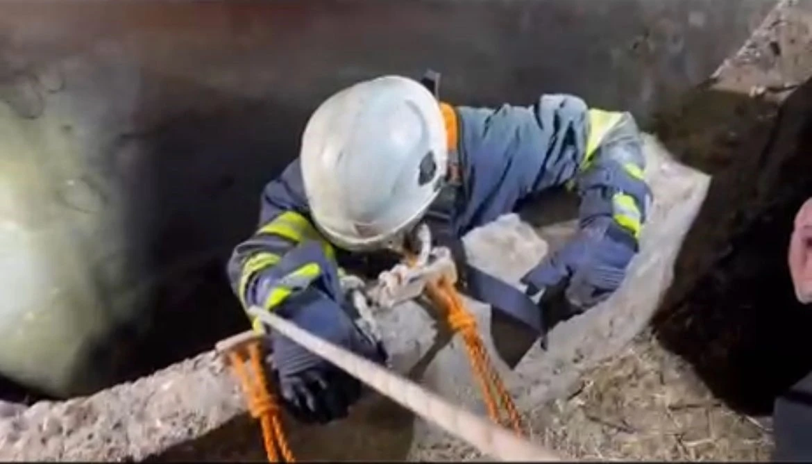 Su kuyusuna düşen çakalı itfaiye ekipleri kurtardı
