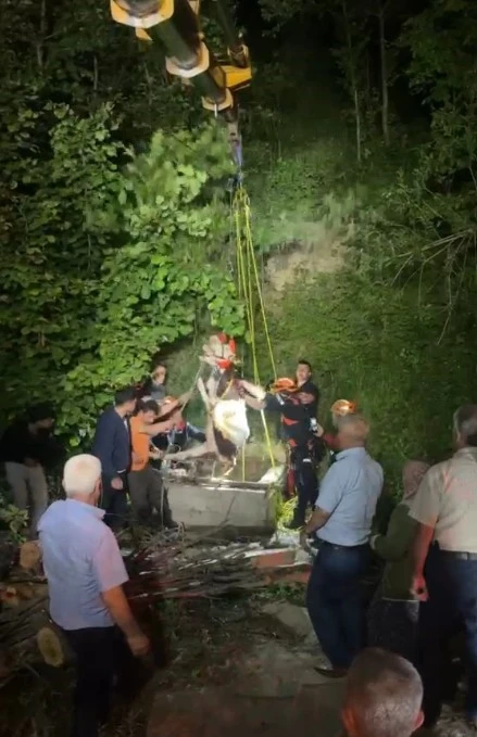 Su kuyusuna d&uuml;şen inek, saatler s&uuml;ren &ccedil;alışma sonrasında kurtarıldı
