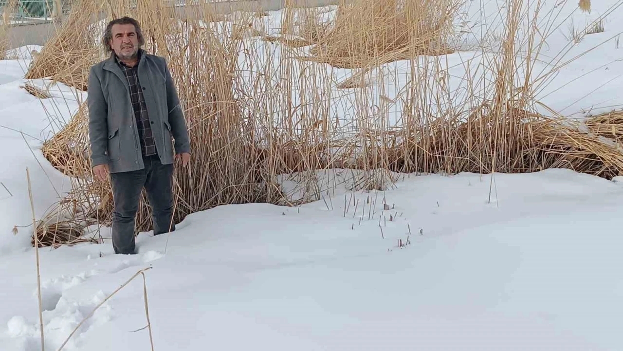 Sulak alanlar i&ccedil;in hayati &ccedil;ağrı
