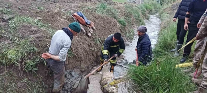 Sulama kanalına düşen koyunu itfaiye kurtardı
