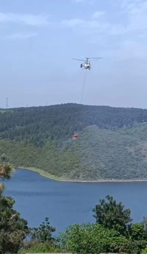 Sultangazi’de orman yangını
