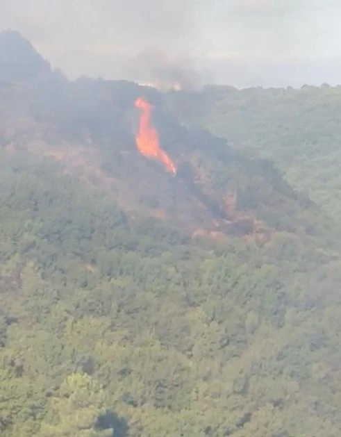 Sultangazi Kent Ormanı’nda yangın çıktı: Havadan müdahale ediliyor
