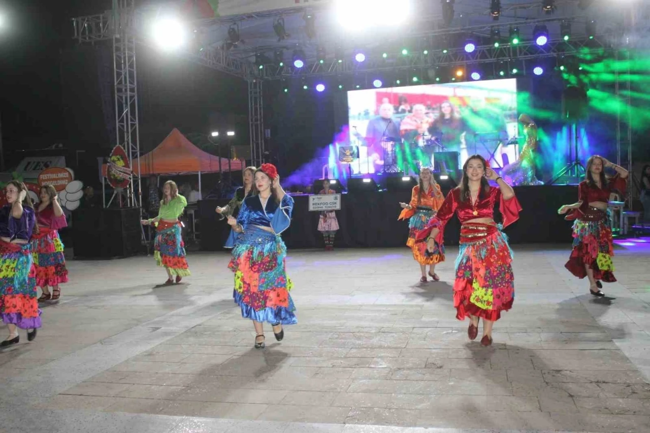 Sultanhisar’da festival, dans şovları ve konser ile başladı
