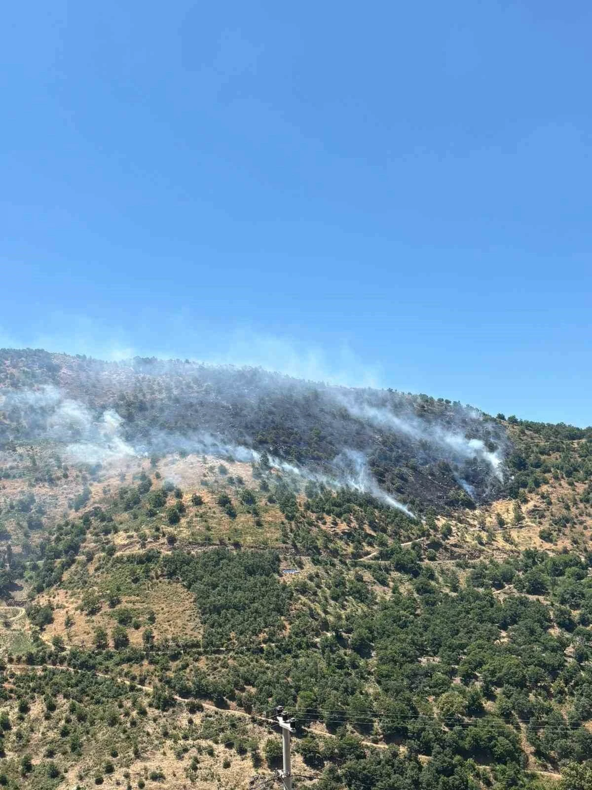 Sultanhisar&rsquo;daki yangına havadan ve karadan m&uuml;dahale s&uuml;r&uuml;yor
