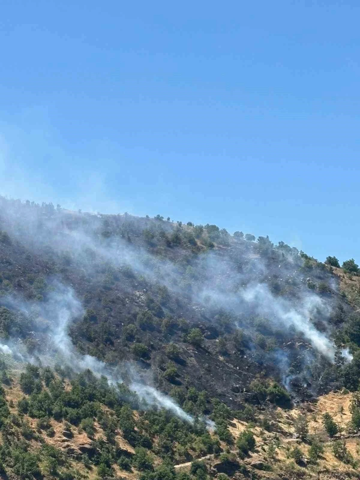 Sultanhisar yangını kontrol altına alındı
