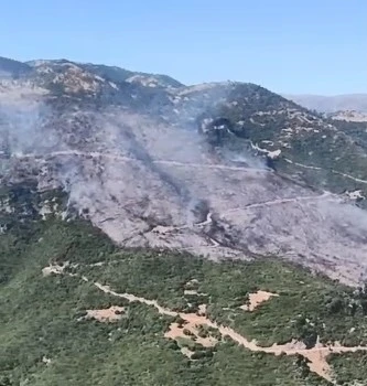 Sultanhisar yangınına müdahale sürüyor

