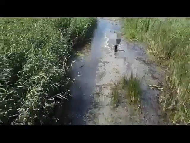 Sülük toplamak için gitti kayboldu
