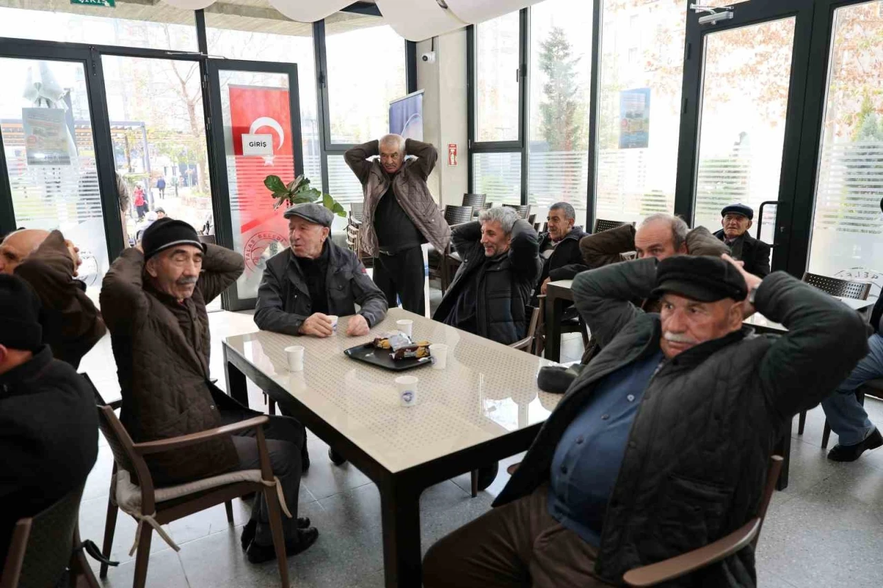 Talas&rsquo;ın &ccedil;ınarları hayata hareket ediyor
